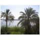 egypt-09.jpg